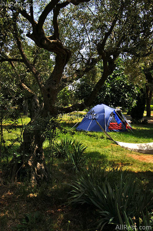 Amarin Camp 28